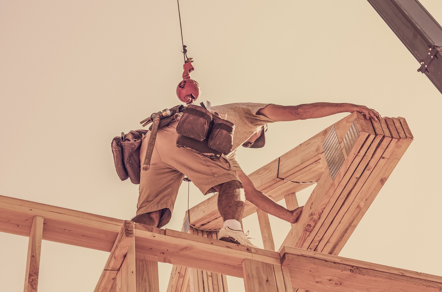 construction et assemblage charpente bois